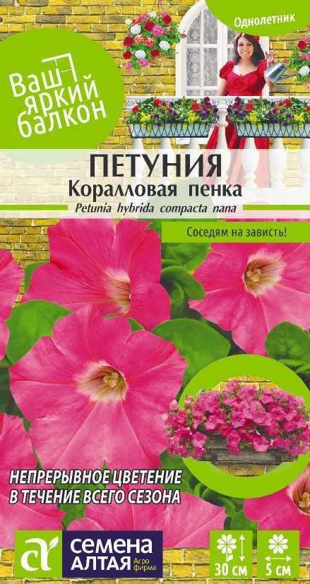 Коралловая пенка петуния фото