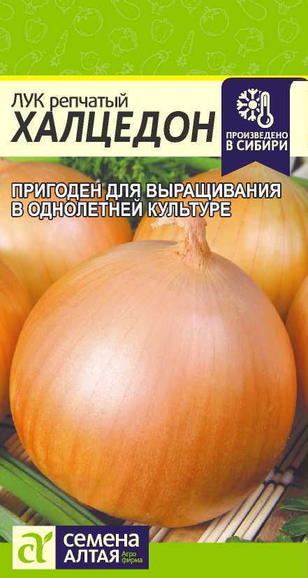 Лук репчатый Халцедон, семена – купить в питомнике Гарден Класс