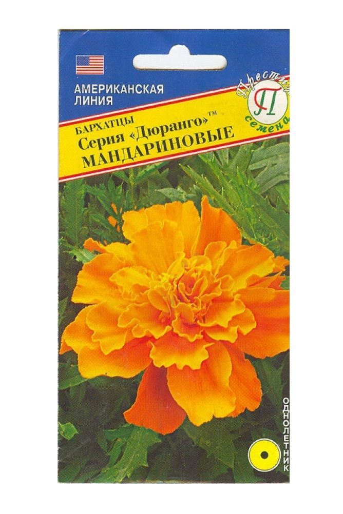 Бархатцы Дюранго Мандариновые, семена – купить в питомнике Гарден Класс