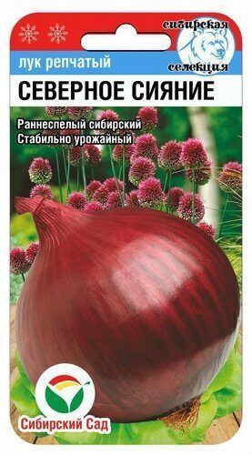 Лук репчатый Северное сияние, семена – купить в питомнике Гарден Класс