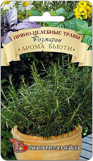 Розмарин Арома Бьюти, семена