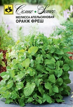 Купить семена мелиссы питомник Гарден Класс – доставка почтой, СДЭК
