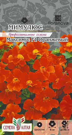 Купить питомник Гарден Класс – доставка почтой, СДЭК