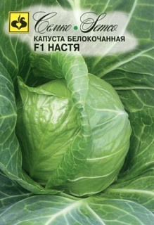 Капуста белокочанная Настя F1, семена