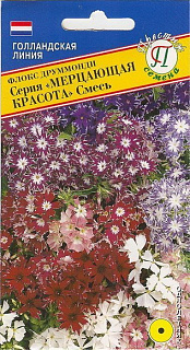 Флокс Друммонда Мерцающая красота, смесь окрасок