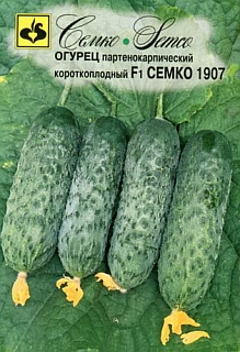 Огурец Семко 1907 F1, семена