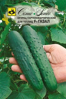 Огурец Газал F1, семена