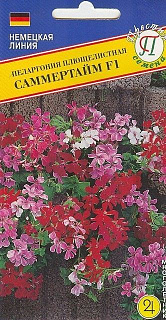 Пеларгония плющелистная Саммертайм F1, смесь окрасок