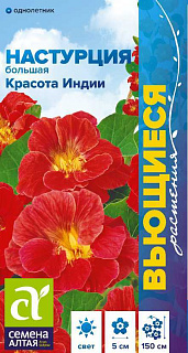 Настурция Красота Индии, семена